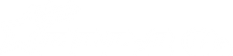 My Logo